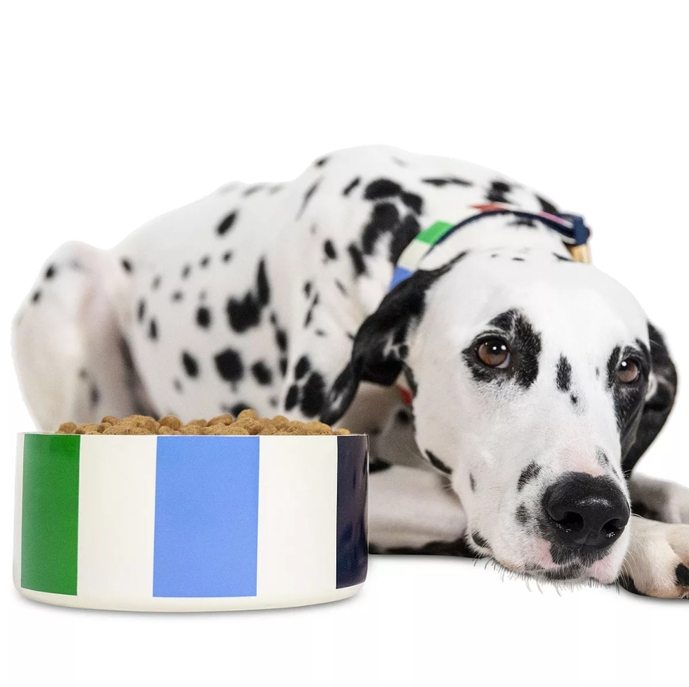 Kate Spade Pet Food Bowl
